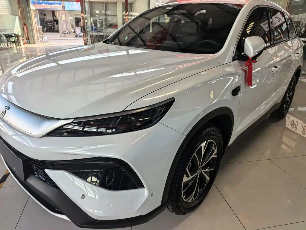 BYD Pro New Energy 2026