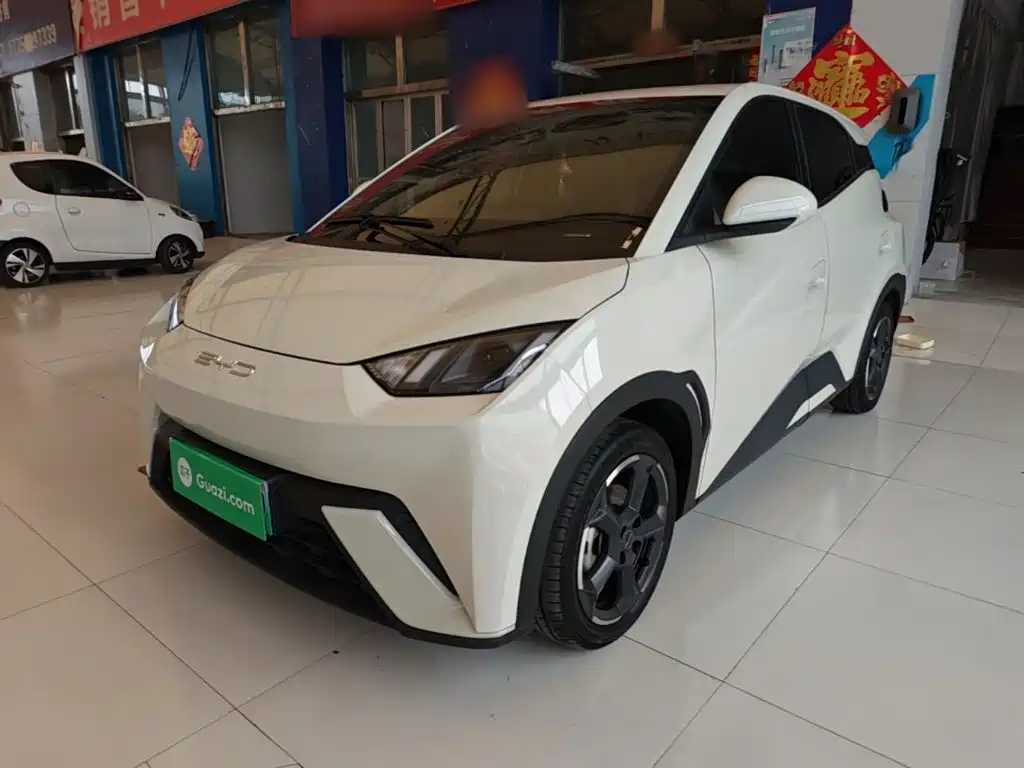 BYD Seagull 2024
