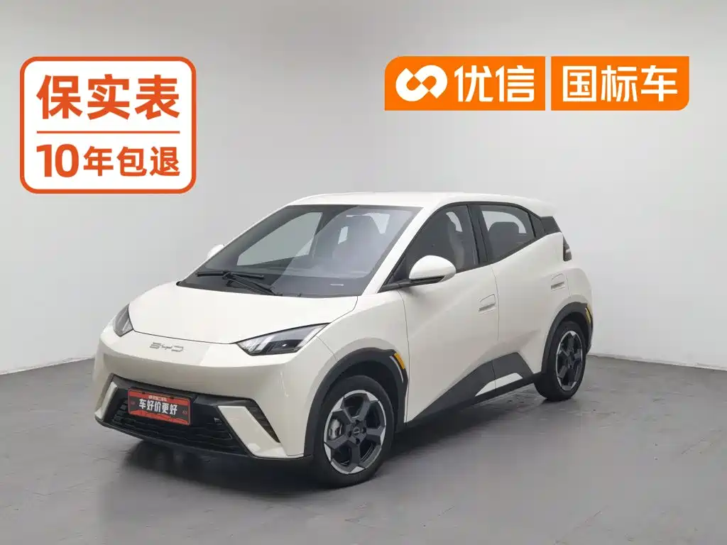BYD Seagull 2024