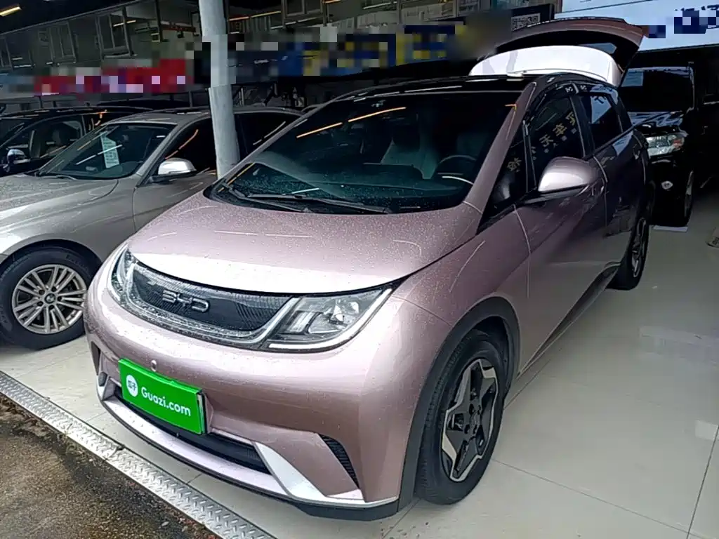 BYD Dolphin 2022