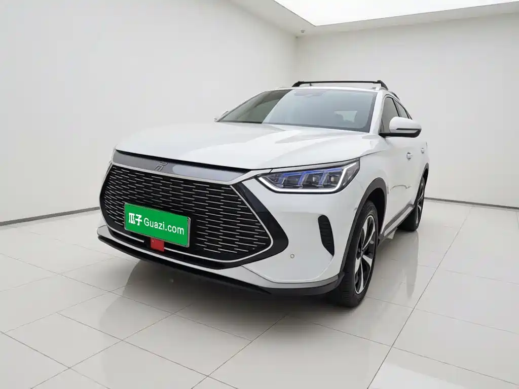 BYD PLUS New Energy 2023