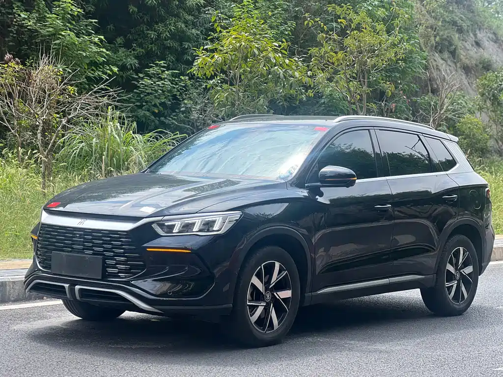 BYD Pro New Energy 2024