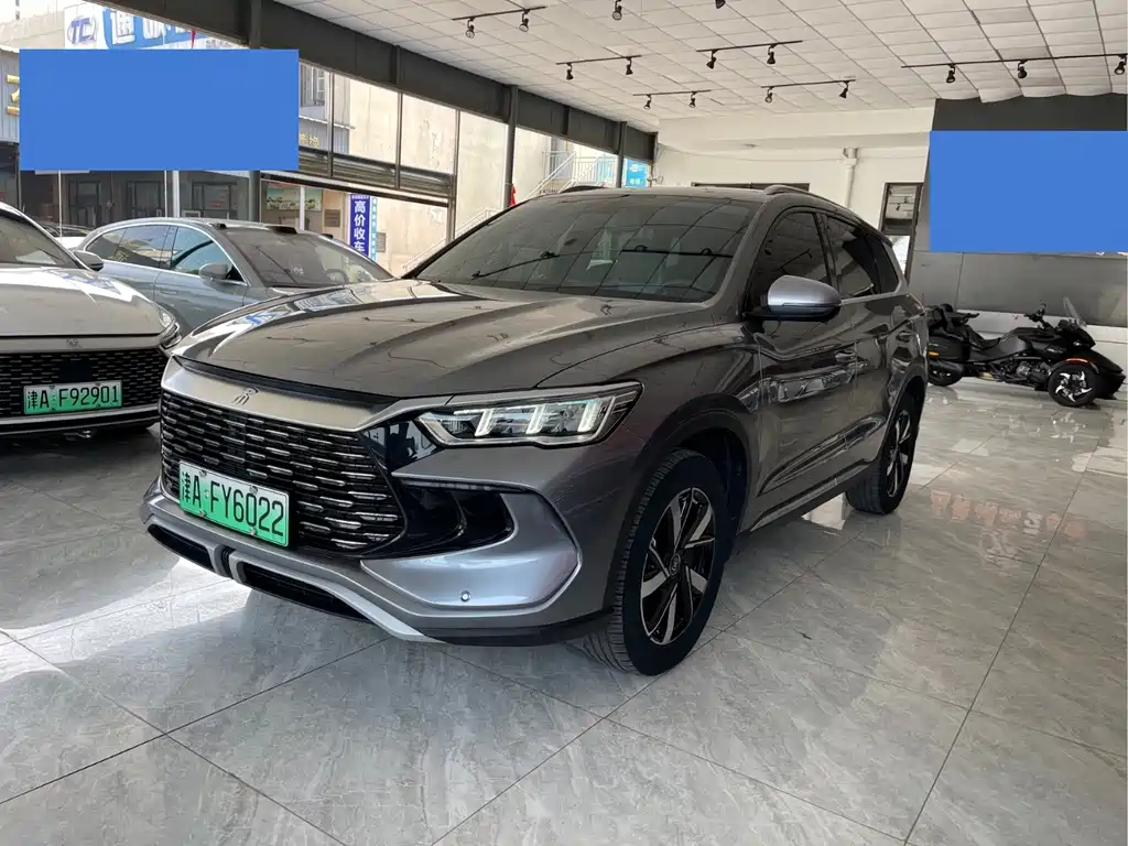 BYD Pro New Energy 2024