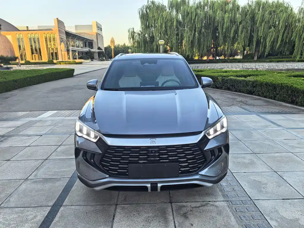 BYD Pro New Energy 2024