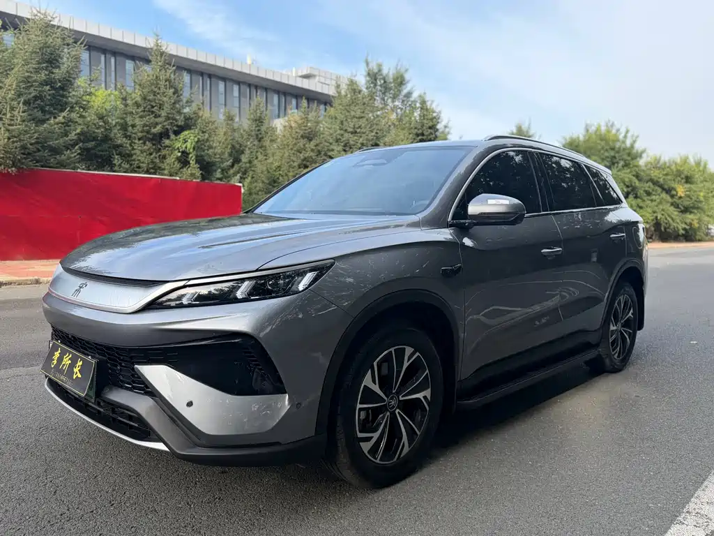 BYD Pro New Energy 2025