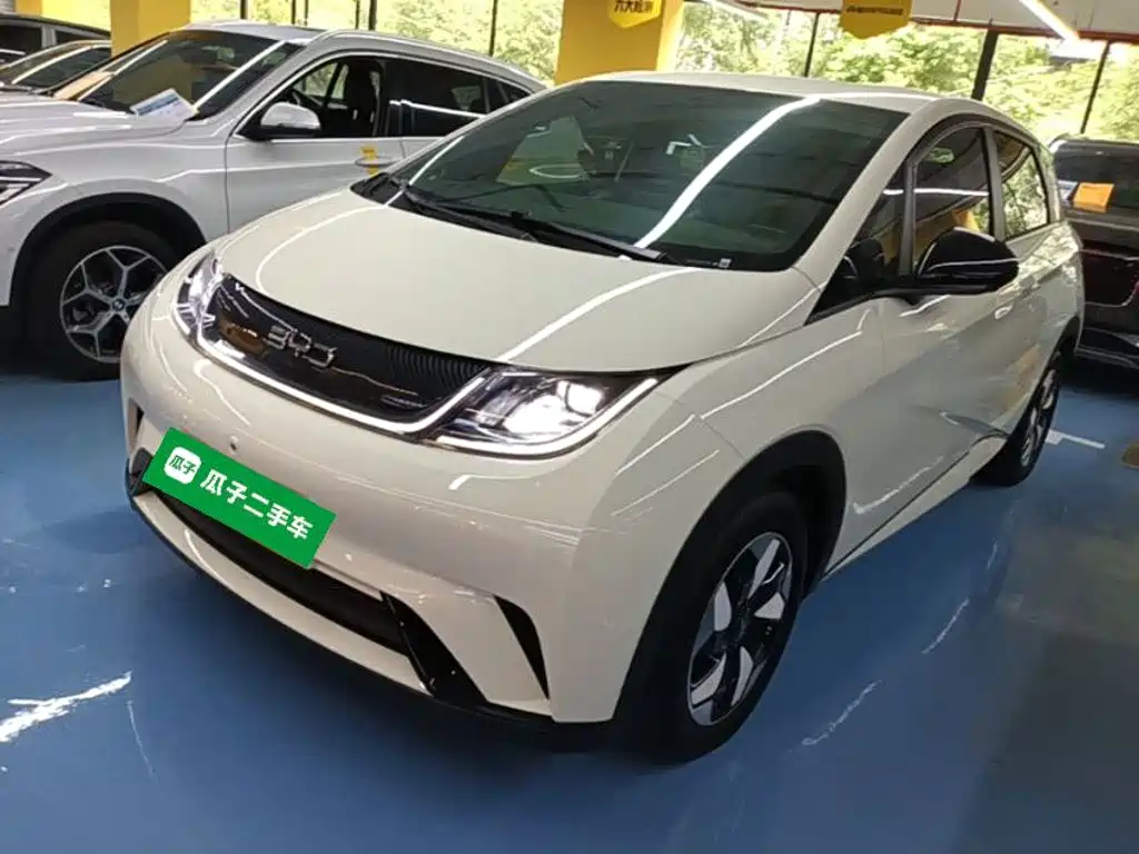 BYD Dolphin 2024