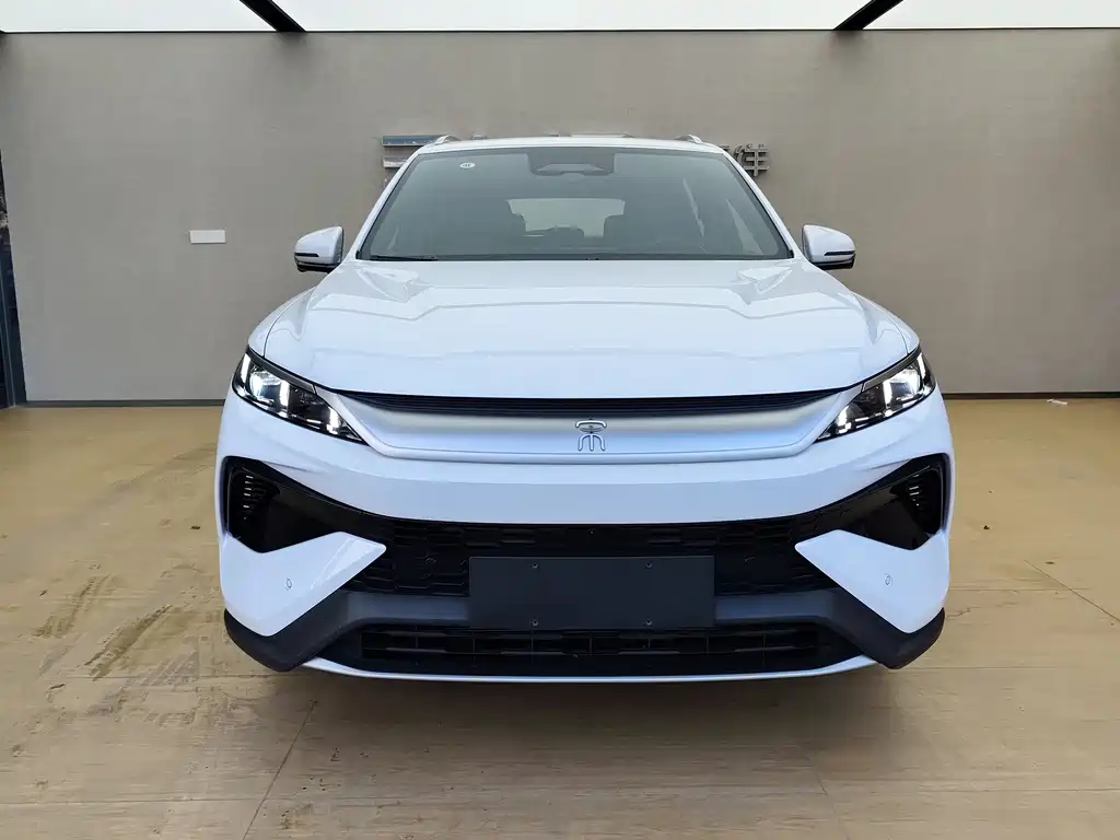 BYD Pro New Energy 2025
