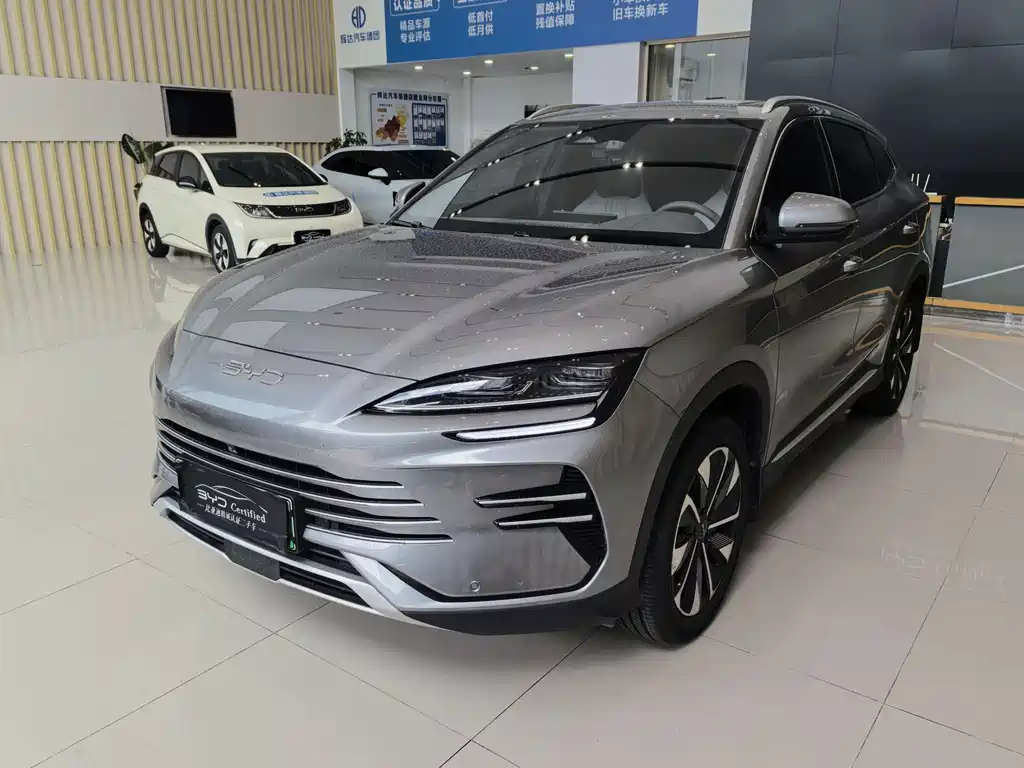 BYD PLUS New Energy 2024