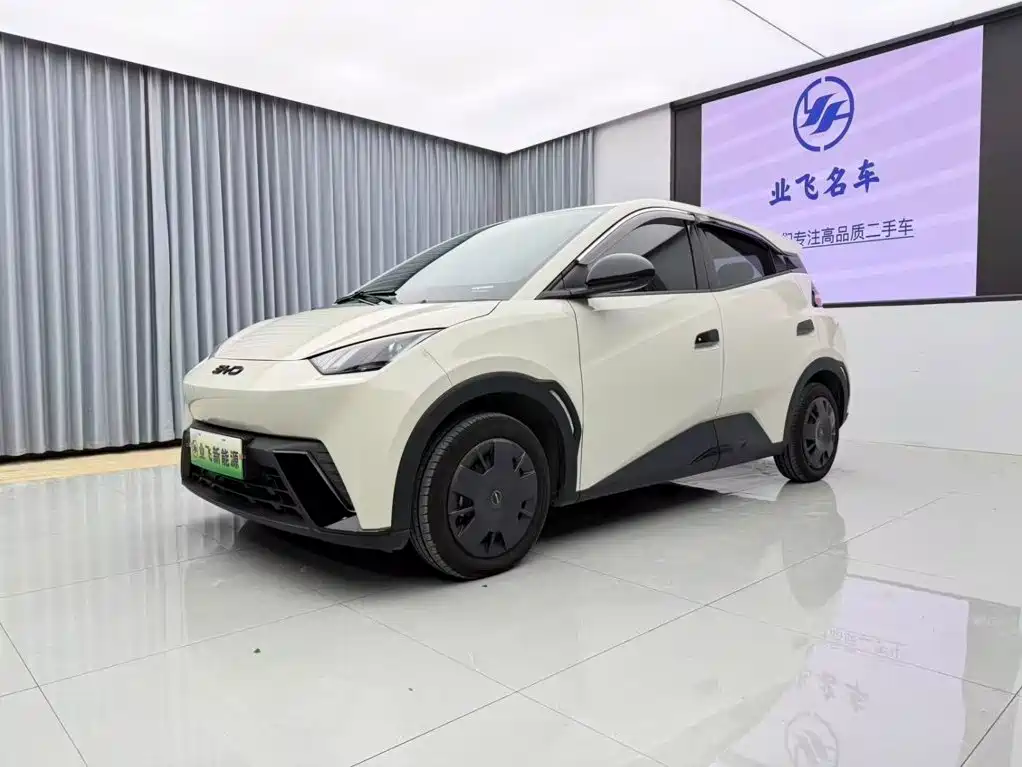 BYD Seagull 2024