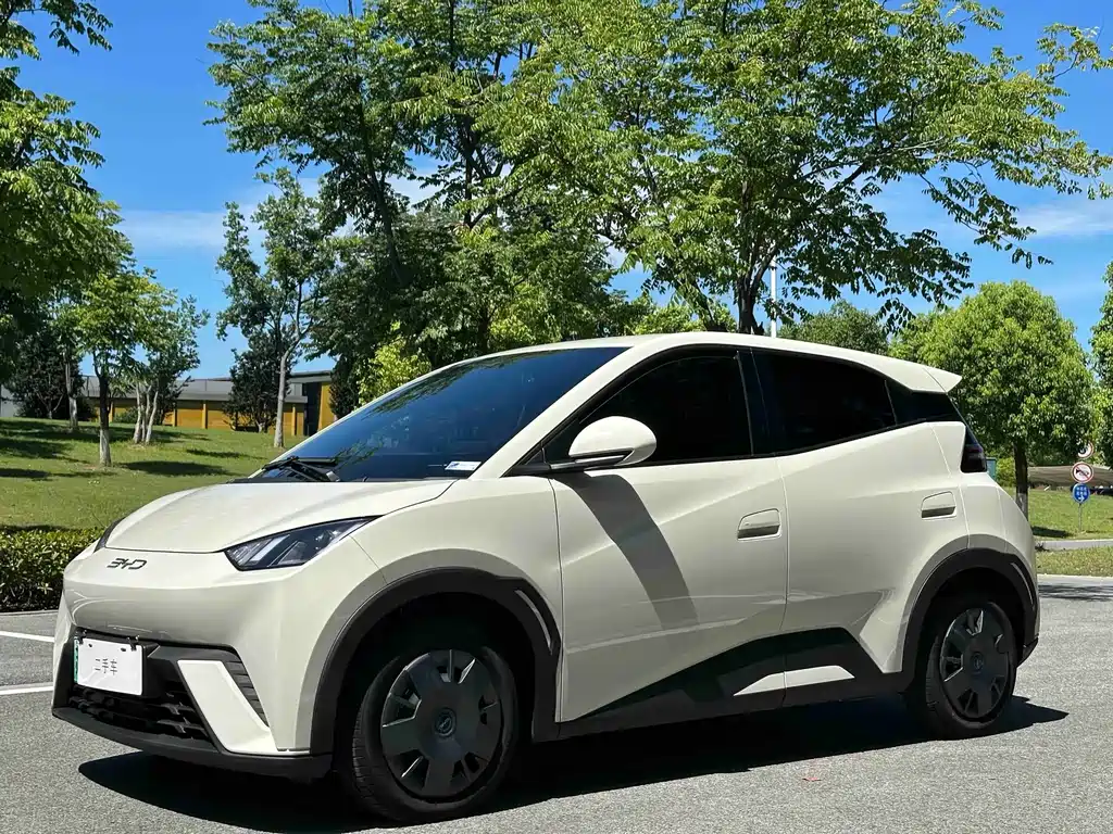 BYD Seagull 2024