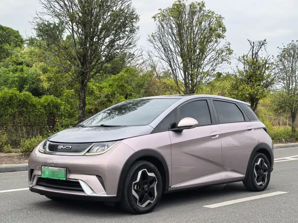 BYD Dolphin 2022