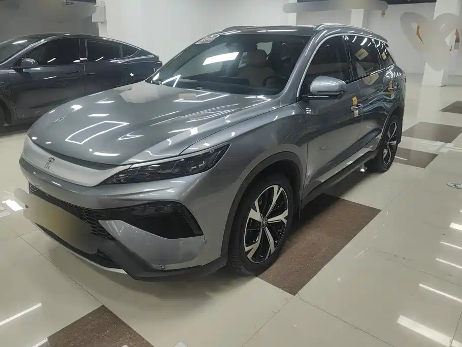 BYD Pro New Energy 2024