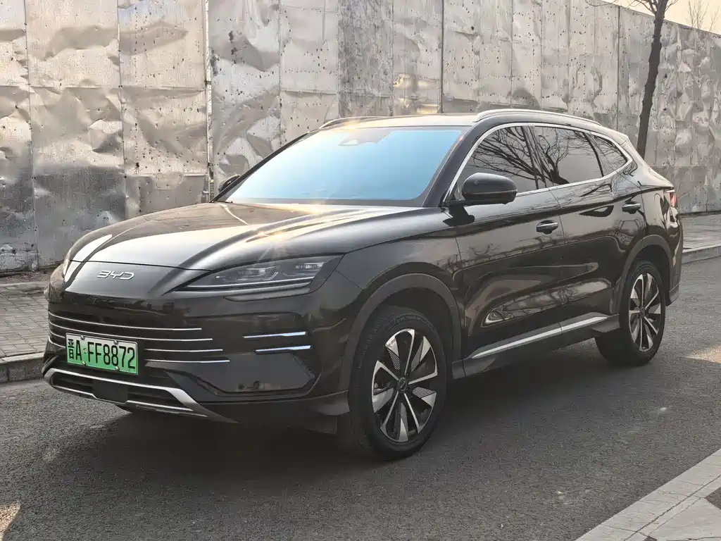 BYD PLUS New Energy 2025