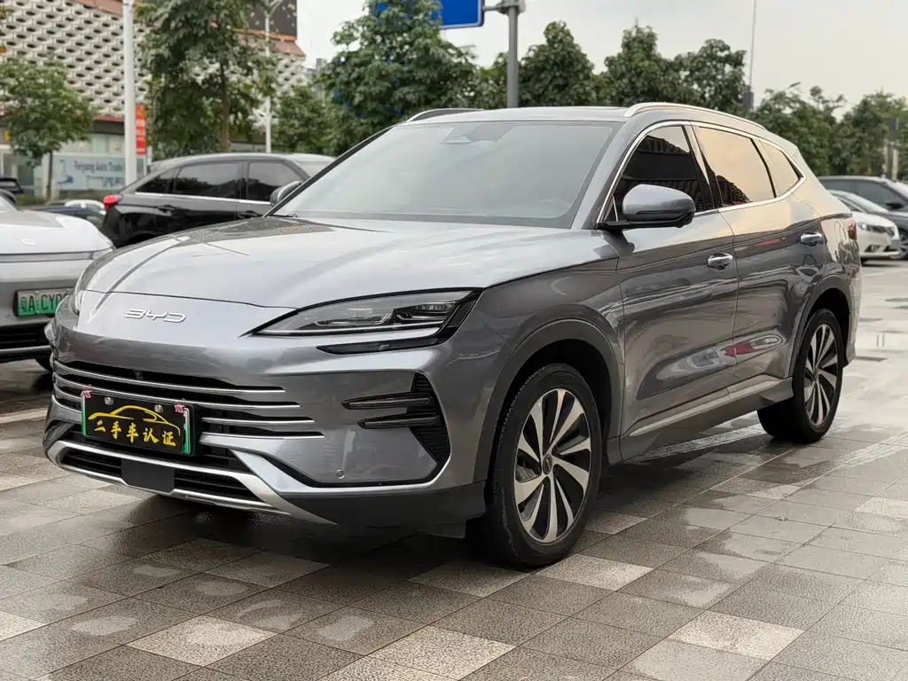 BYD PLUS New Energy 2024