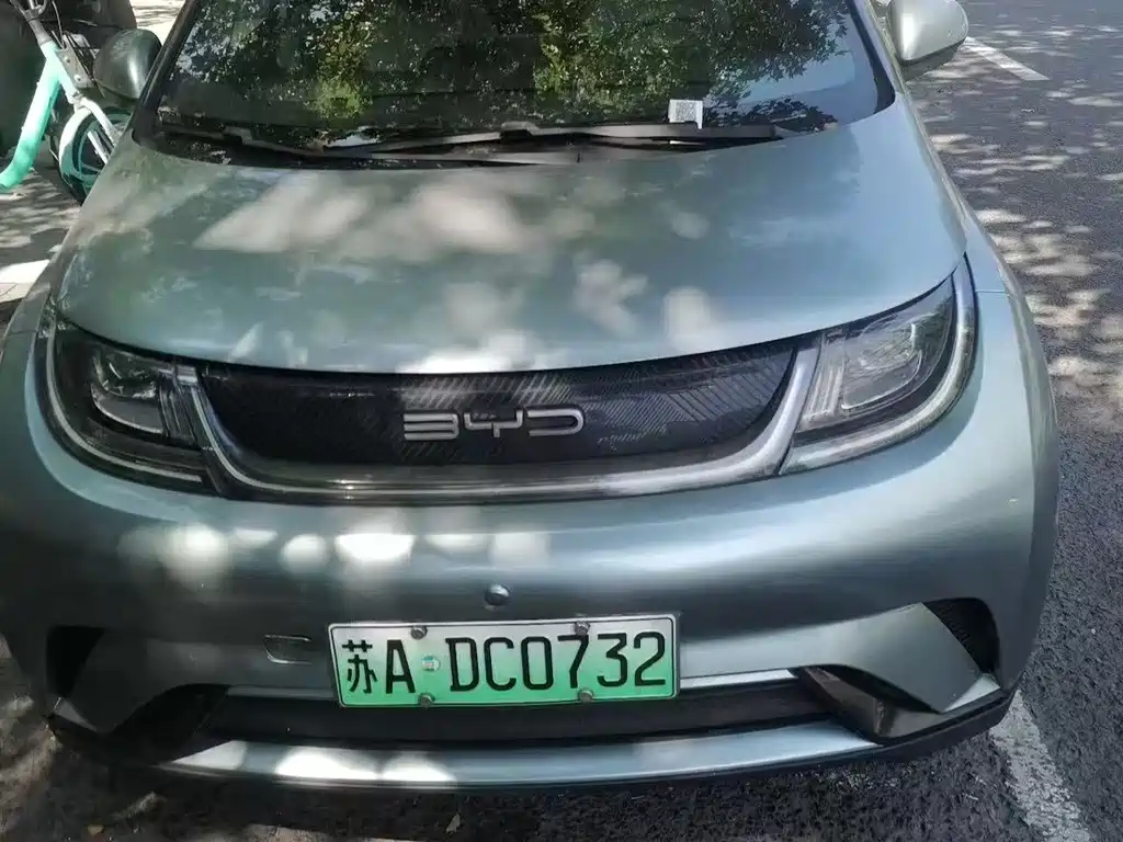 BYD Dolphin 2021