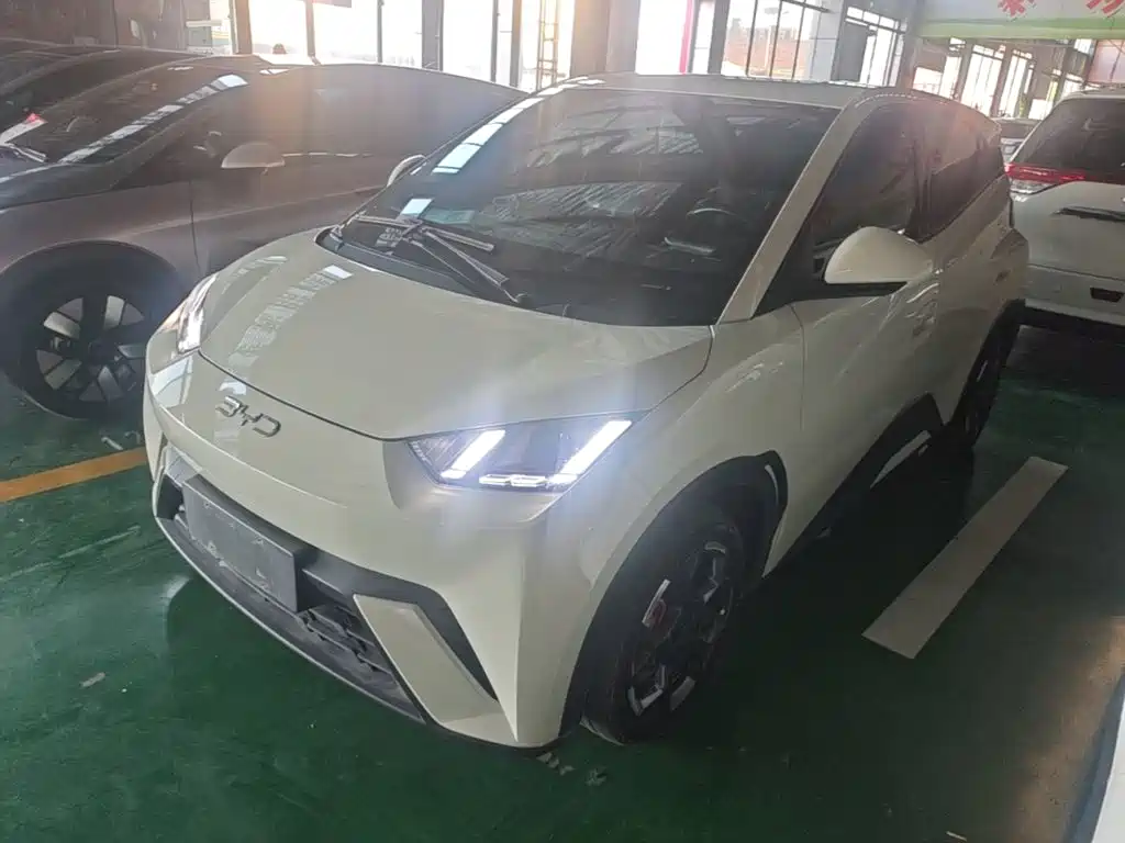 BYD Seagull 2024