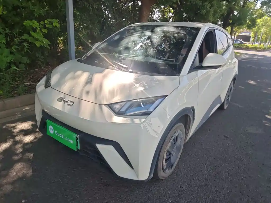 BYD Seagull 2024