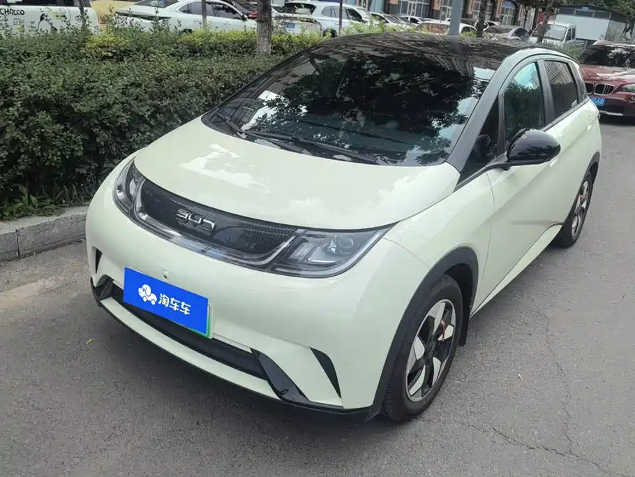 BYD Dolphin 2024