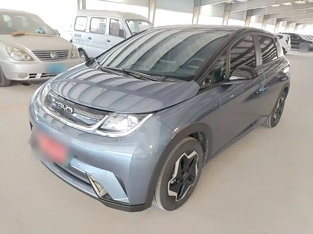 BYD Dolphin 2024