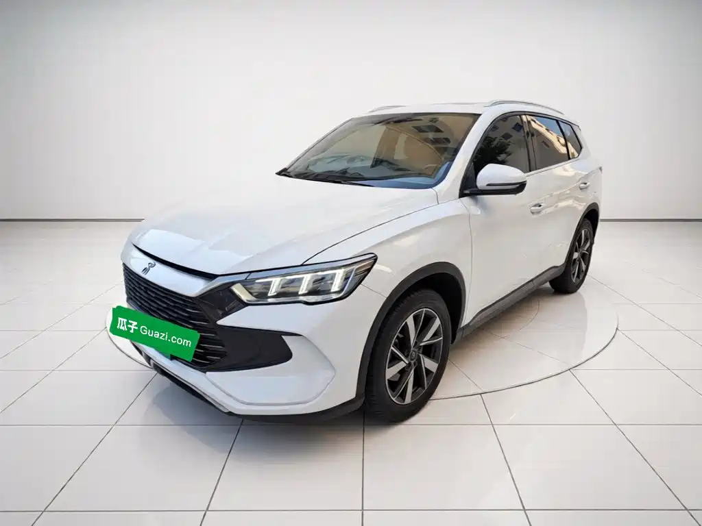 BYD Pro New Energy 2024