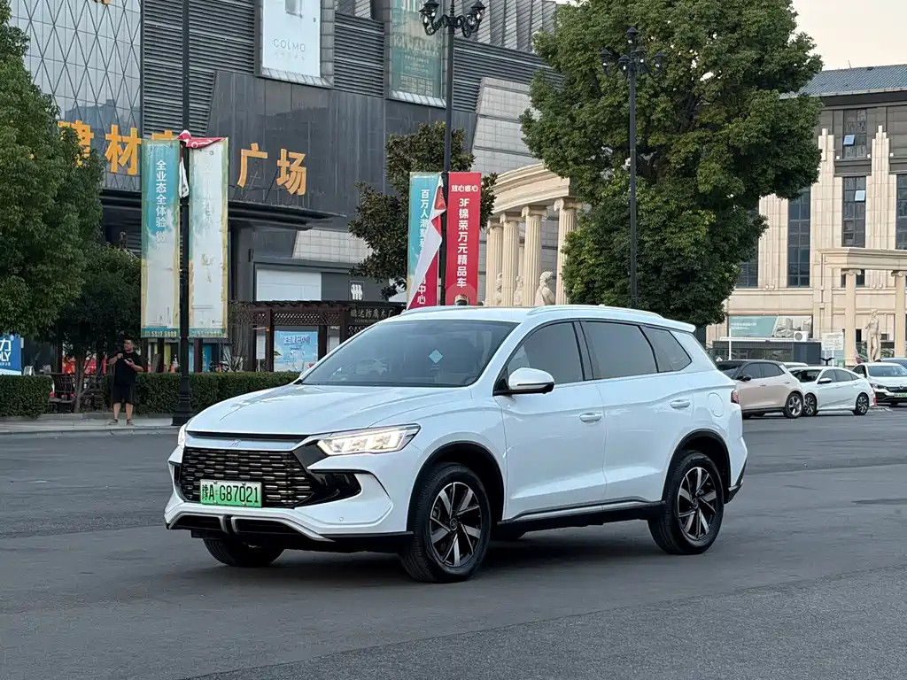 BYD Pro New Energy 2024