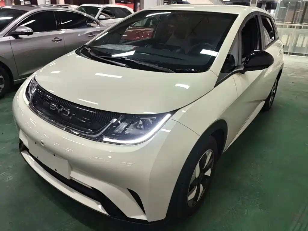 BYD Dolphin 2024