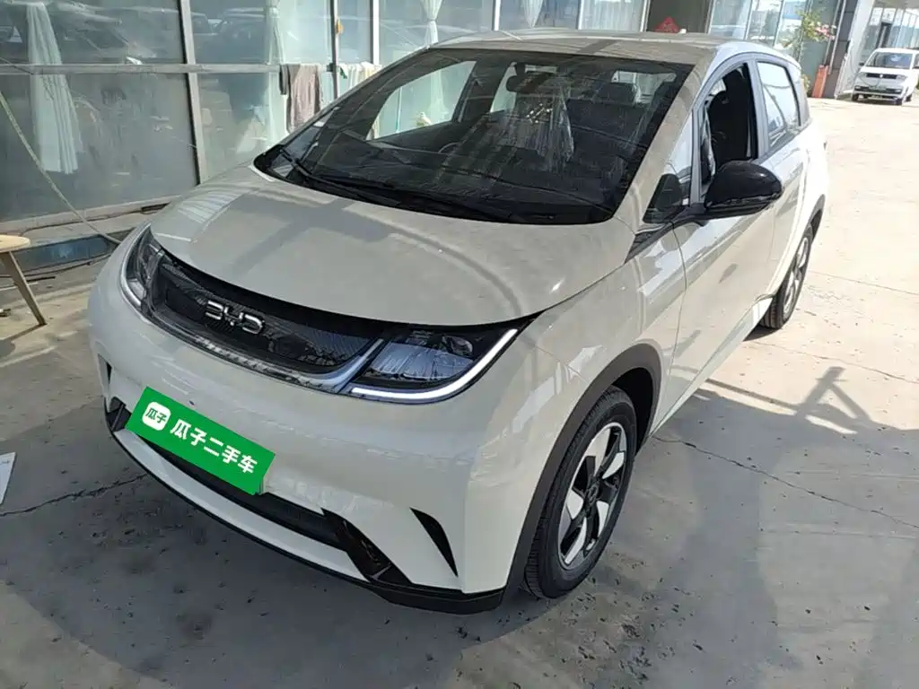 BYD Dolphin 2026