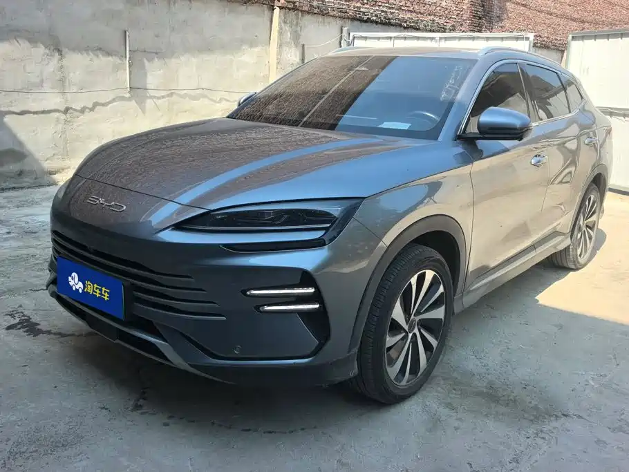BYD PLUS New Energy 2024