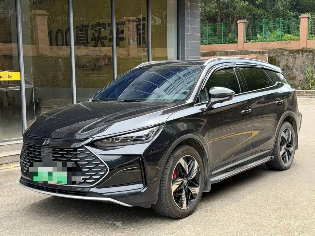 BYD Tang New Energy 2024