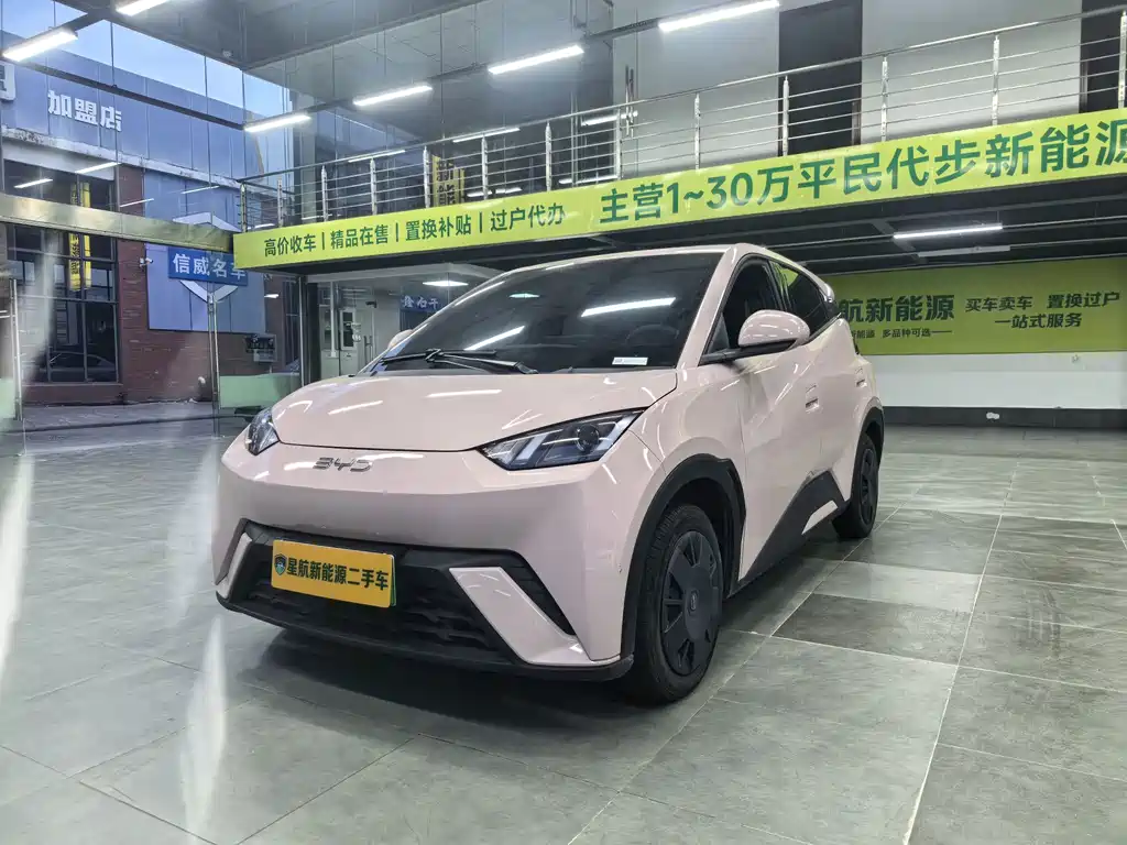 BYD Seagull 2024