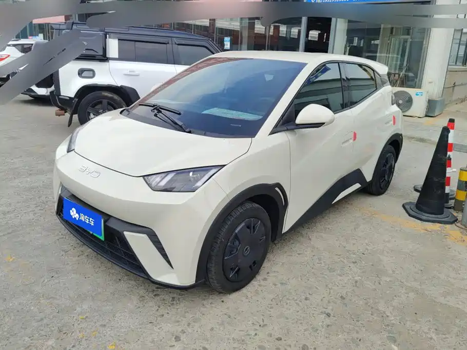BYD Seagull 2024