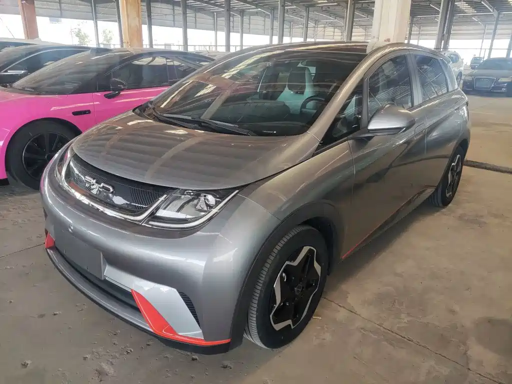BYD Dolphin 2022