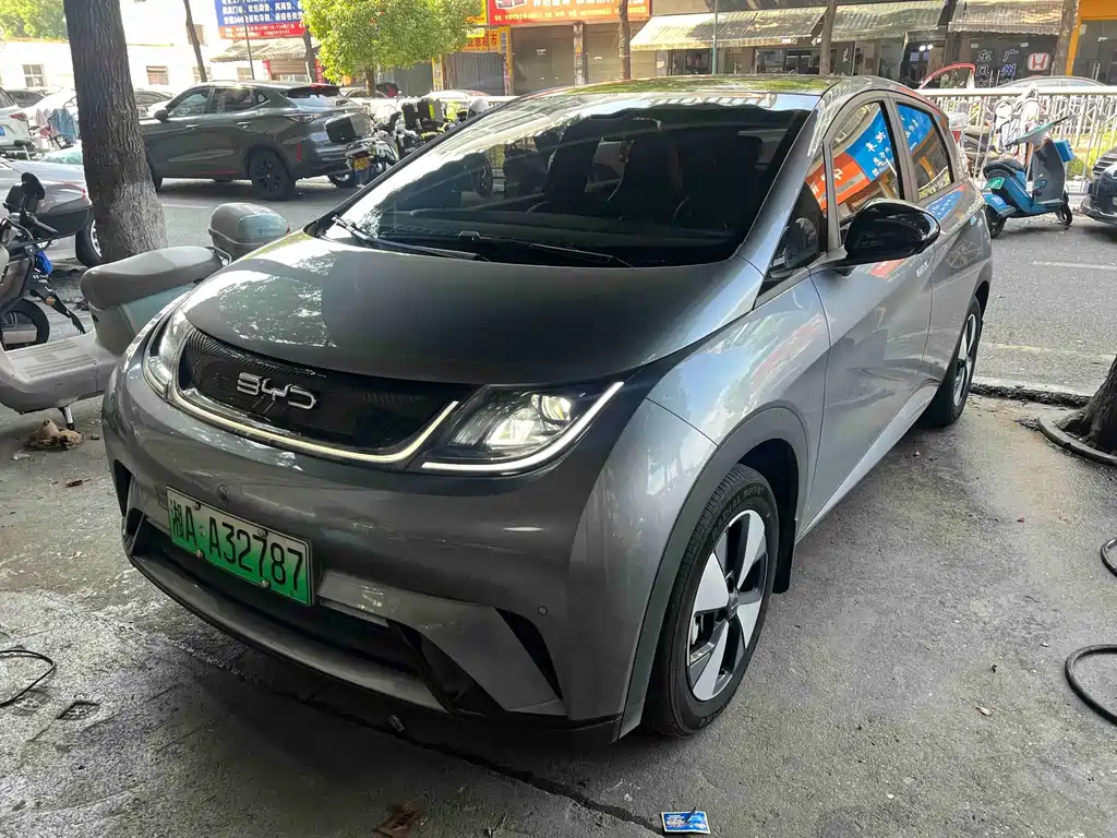 BYD Dolphin 2024