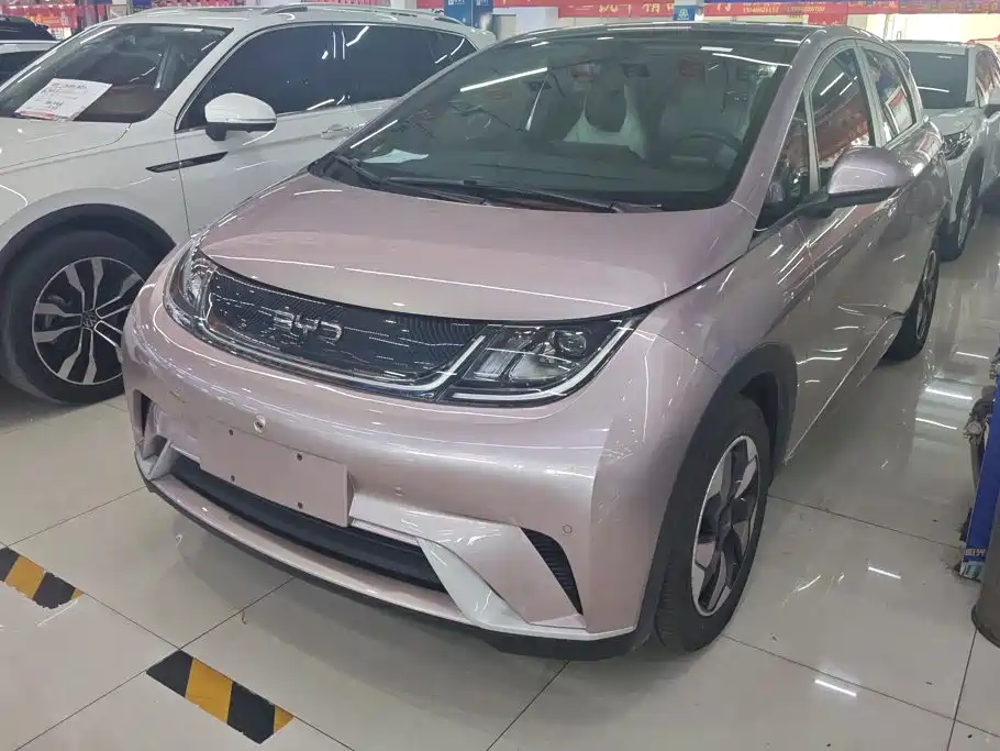 BYD Dolphin 2024