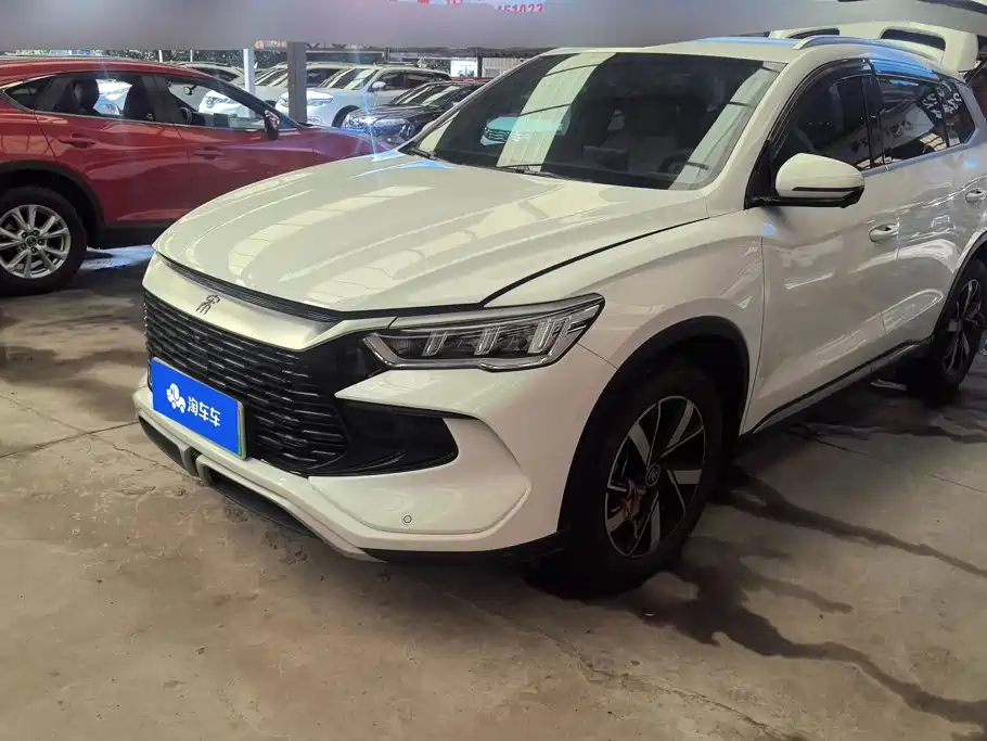 BYD Pro New Energy 2024