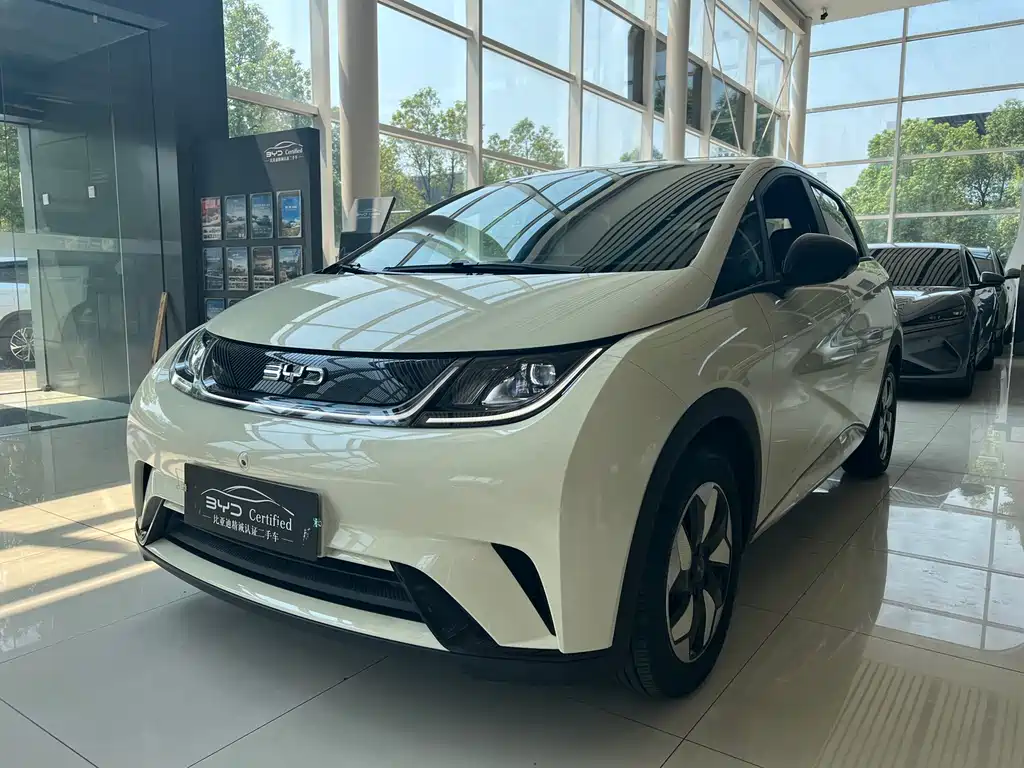 BYD Dolphin 2026