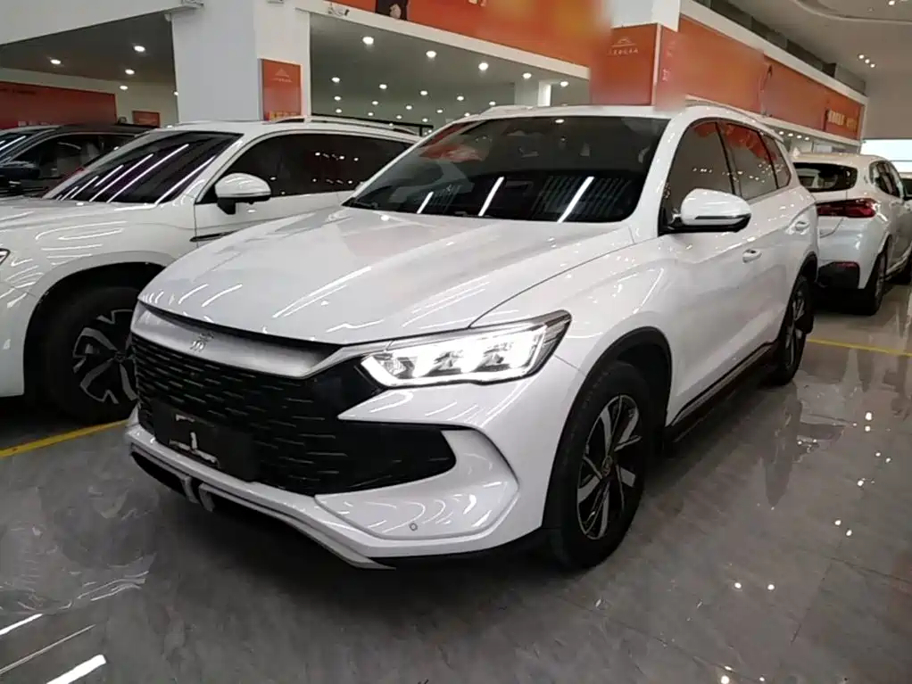BYD Pro New Energy 2024
