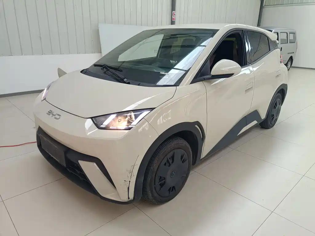 BYD Seagull 2024