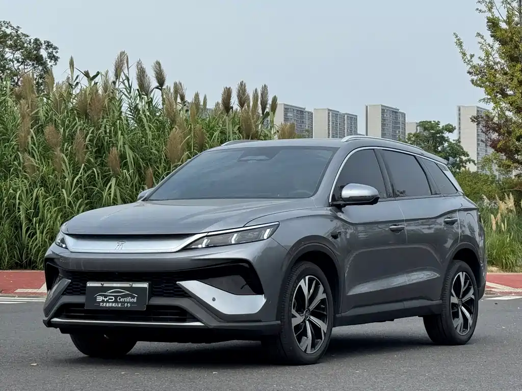 BYD Pro New Energy 2025