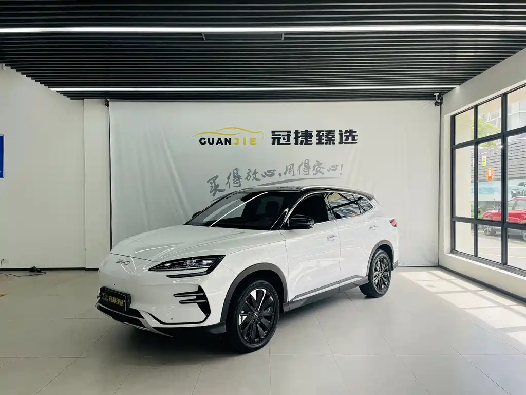 BYD PLUS New Energy 2025