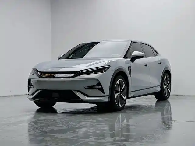 BYD L EV 2024