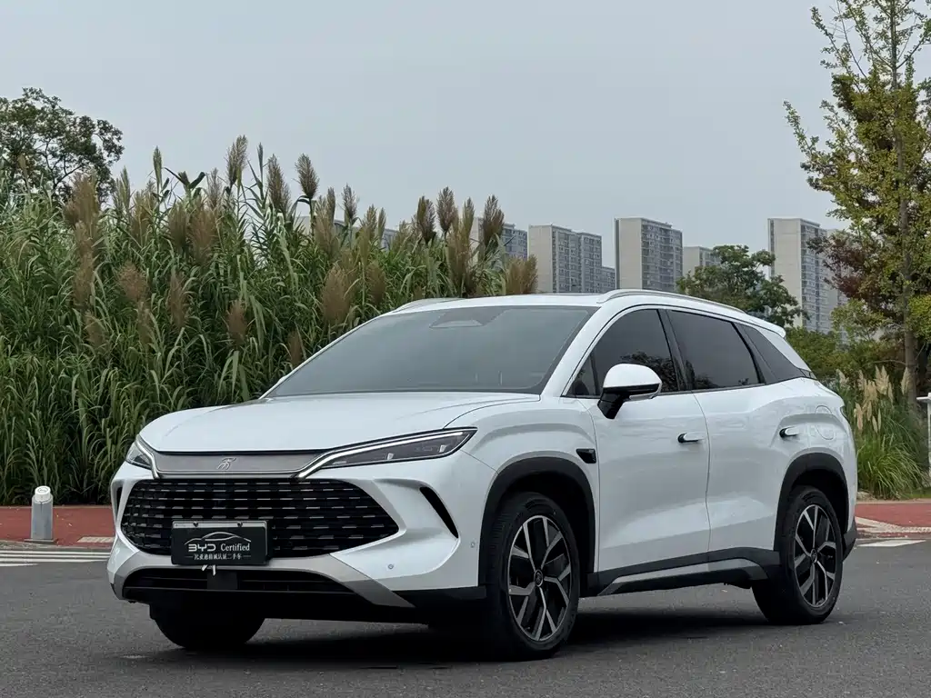 BYD L DM-i 2025