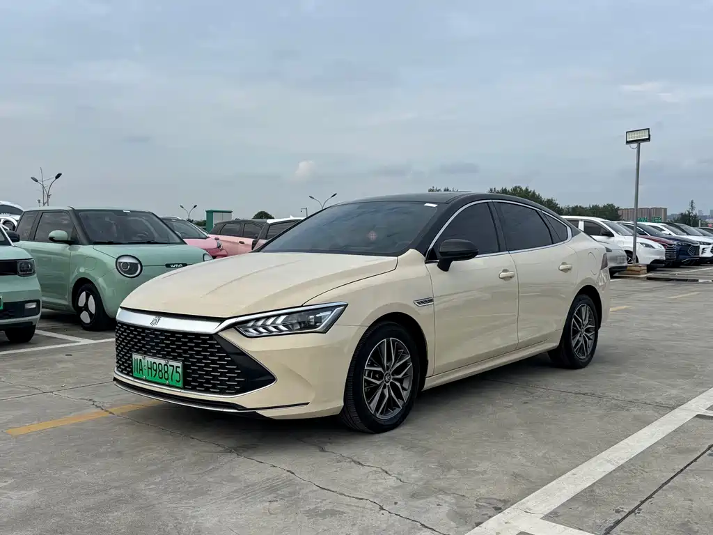 BYD Qin PLUS 2021