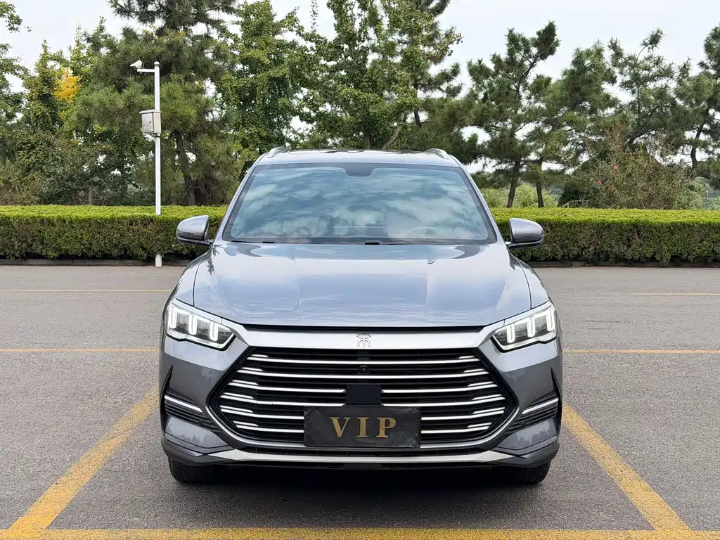 BYD Pro 2021