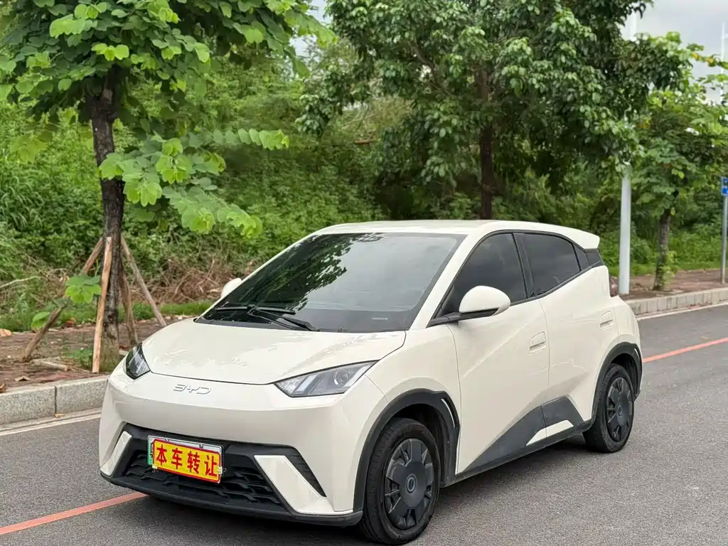 BYD Seagull 2024