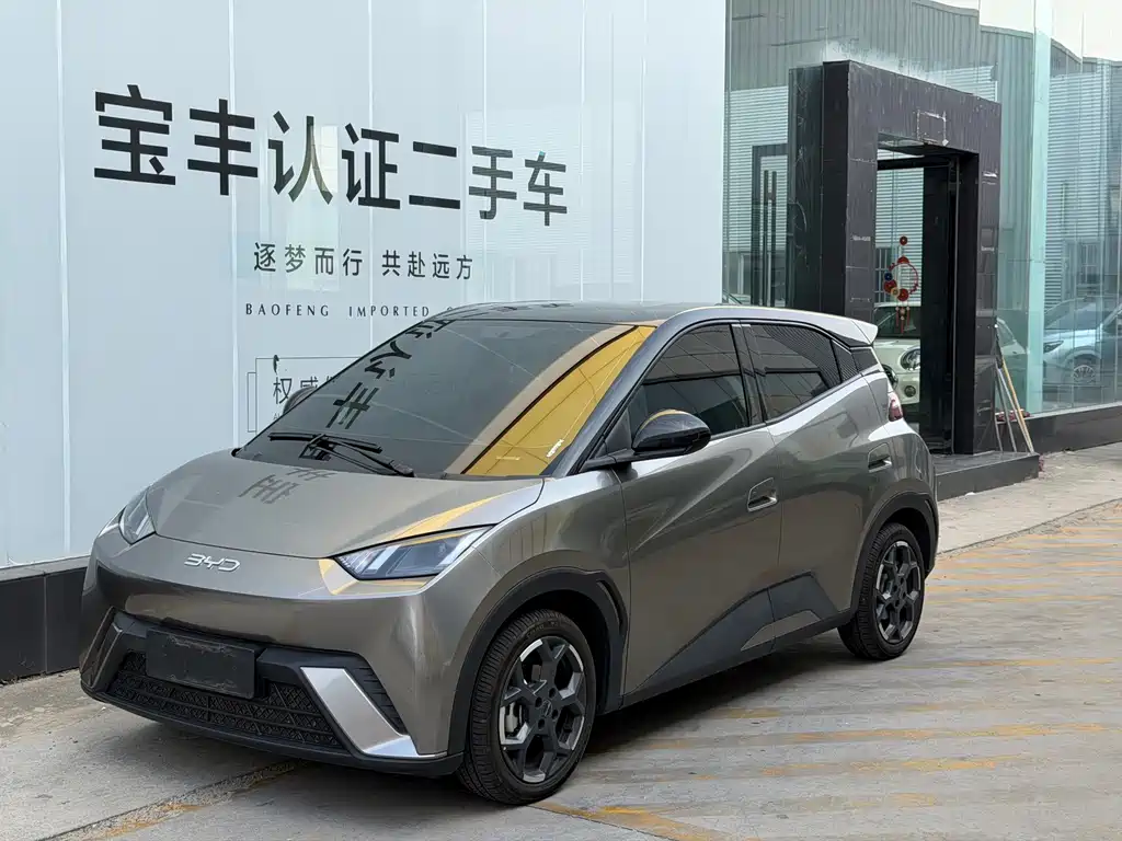 BYD Seagull 2024