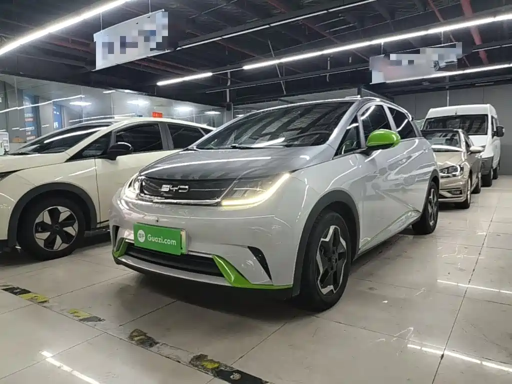 BYD Dolphin 2022