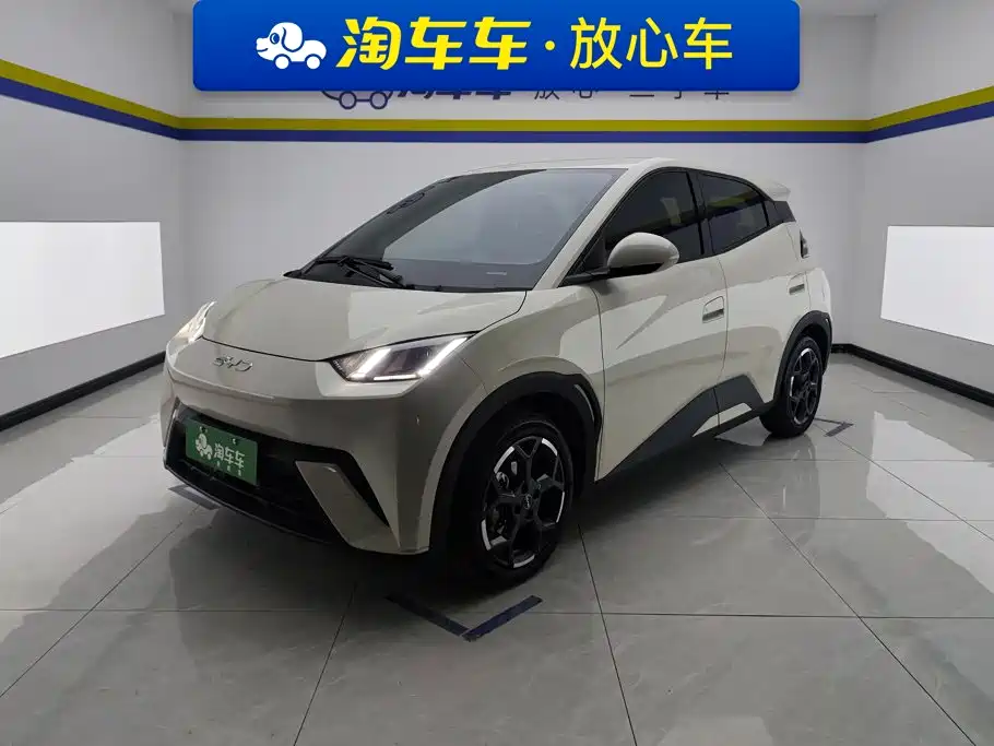 BYD Seagull 2025