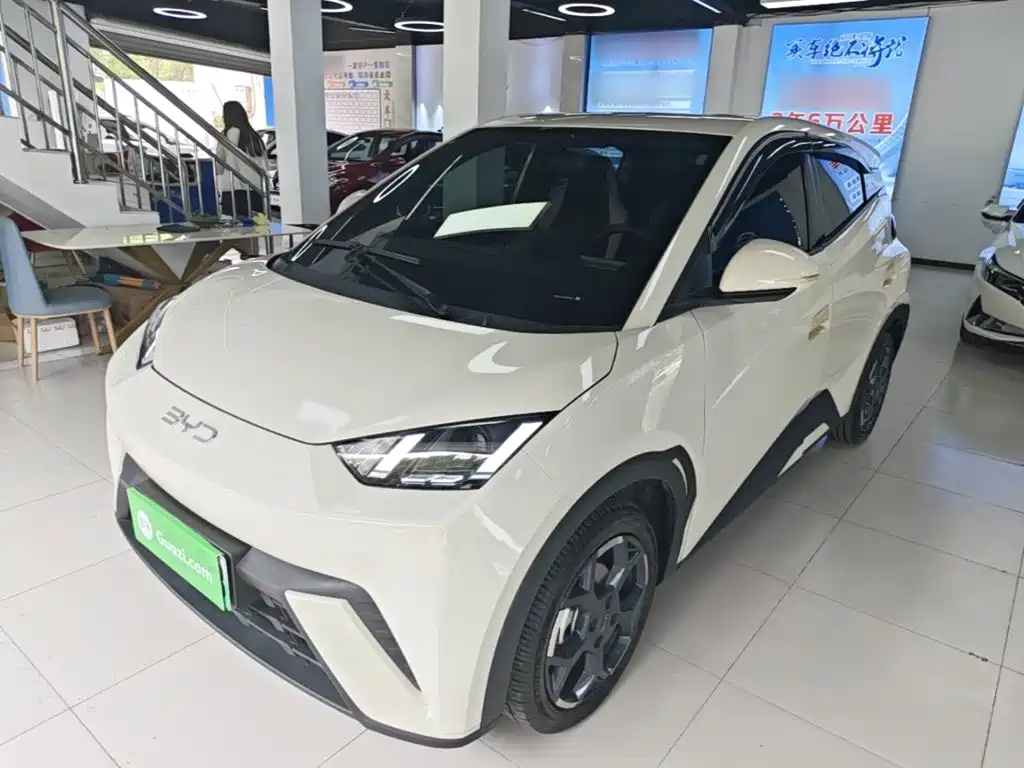 BYD Seagull 2024