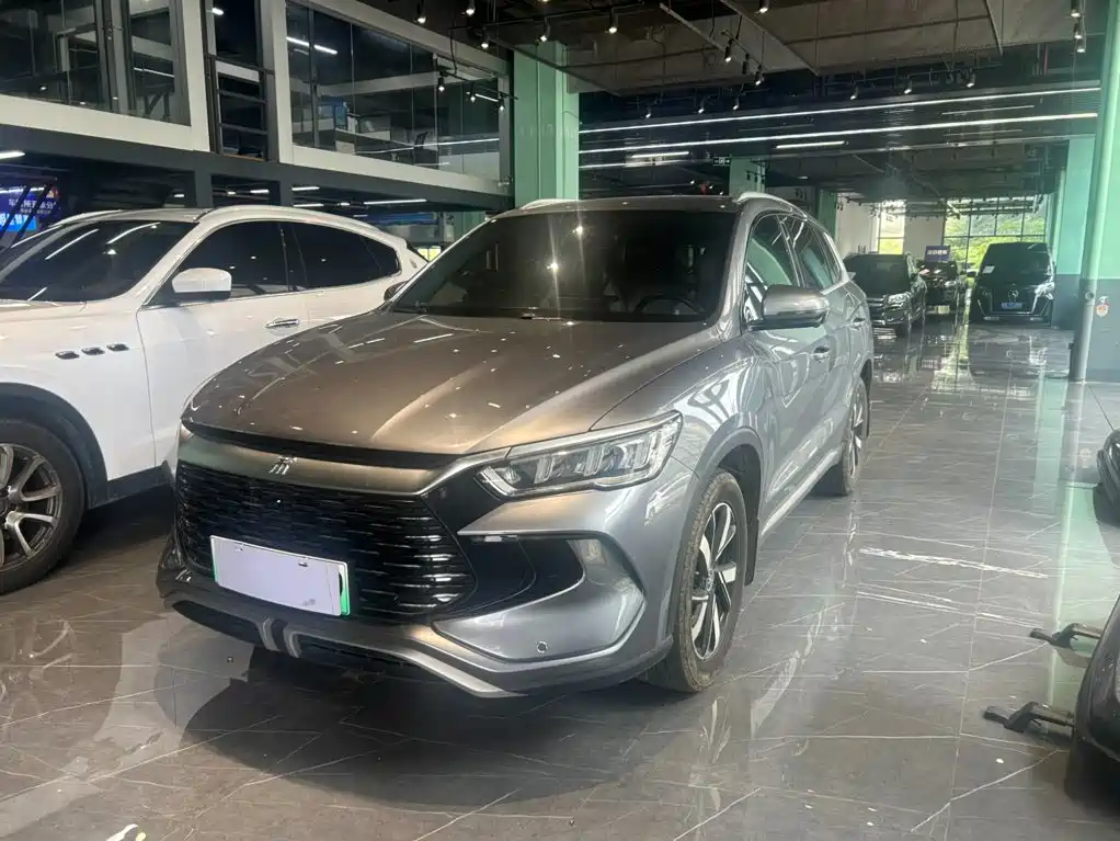 BYD Pro New Energy 2024